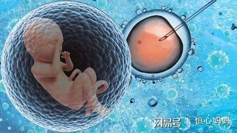 苏医生